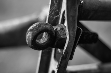 Quarantaine van de ziel II