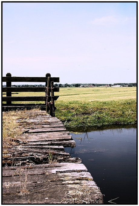 White steps