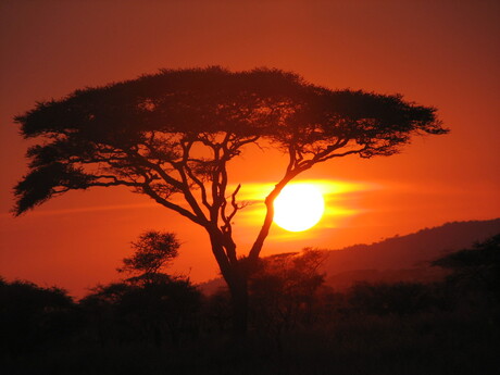 Zonsondergang Serengetti