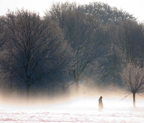 Alleen in de sneeuw...