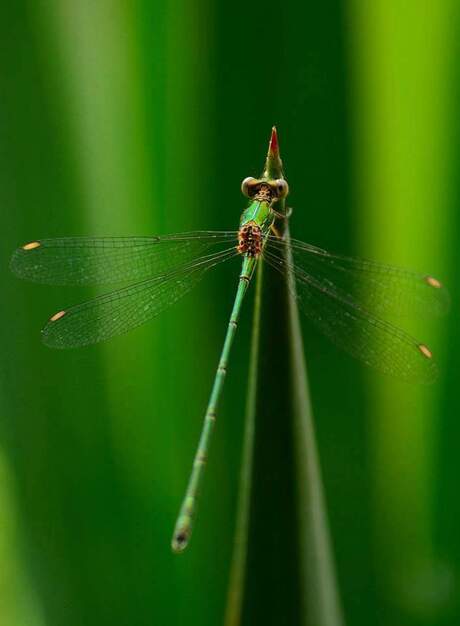 FB_IMG_1439054269919