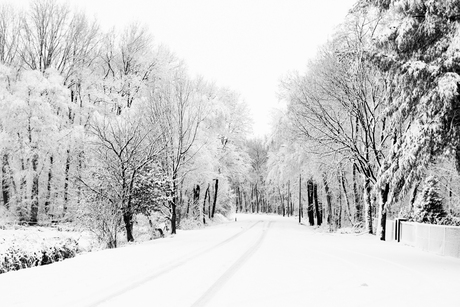 Winter in Cuijk