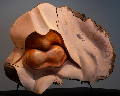 Nr 1 van twee monden