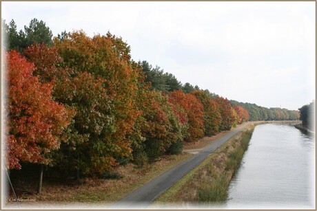 Herfst kleuren 2