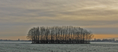 januari ochtend