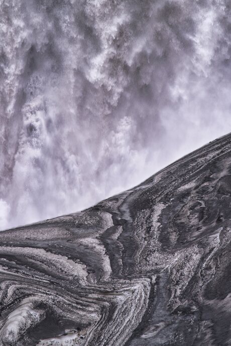 Details in het landschap