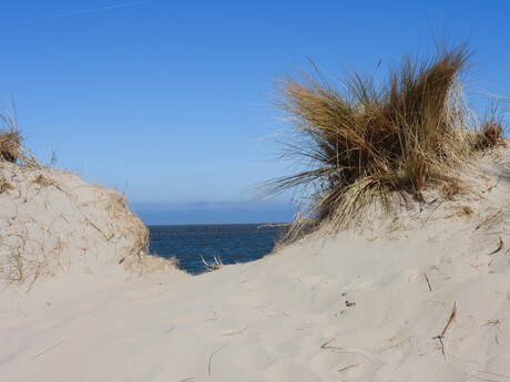 Zee, wat ben je onweerstaanbaar