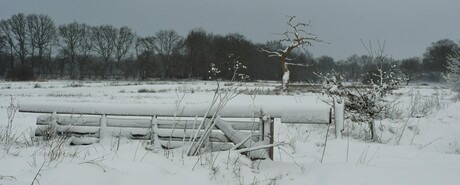 Winter in Drenthe