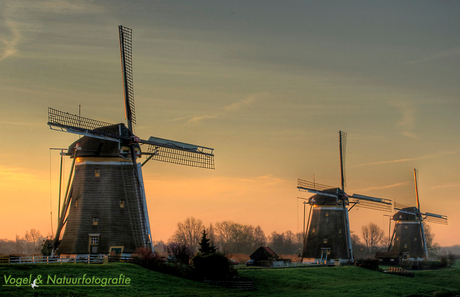 Molendriegang bij zonsopkomst (Leidschendam) *Spotlight*