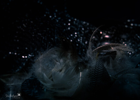 Tussen Droom en Duisternis.. 