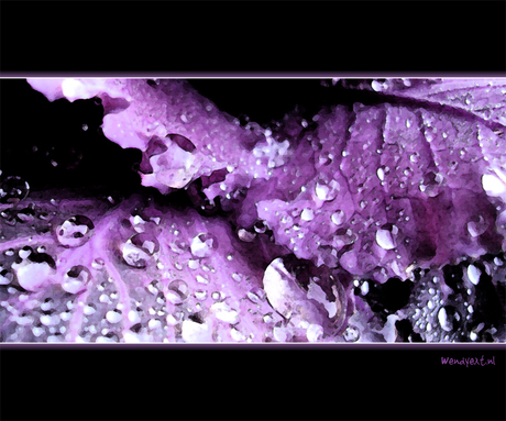 Purple rain