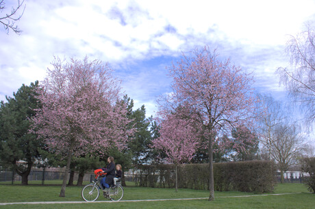 Lente in utrecht