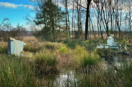 Stukken muur van een oud huis in de natuur