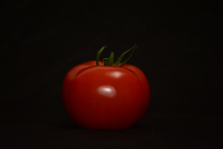 tomaat glimt