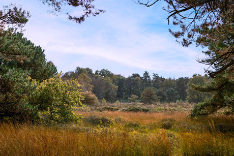 Natuur in de Achterhoek