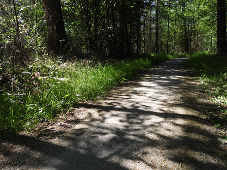 Natuurlijk licht