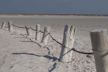 Zoutpan Etosha N.P. Namibie