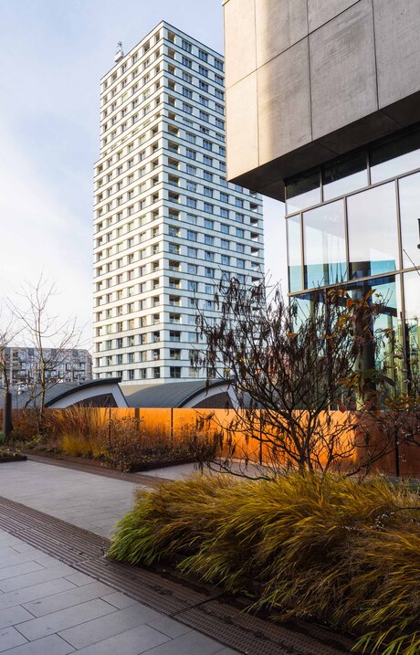 Thema natuur in de stad