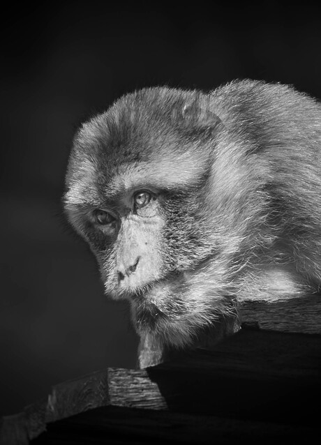 ik vind hm wel netjes