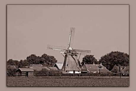 De 700e.....Molen in de zomer.....