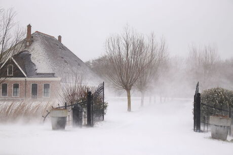 Sneeuw en vooral veel wind.