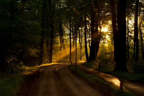 Het laatste licht