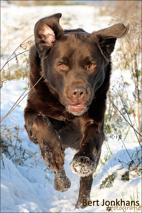 Fun in the snow!