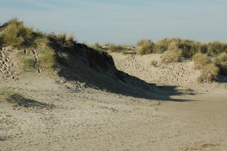 Vakantie_texel0184