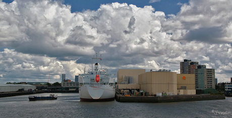 Rotterdam 8 Serie 3 Fruit Port Rotterdam.