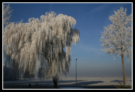 winter 2007