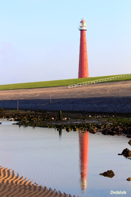 vuurtoren lange jaap den helder