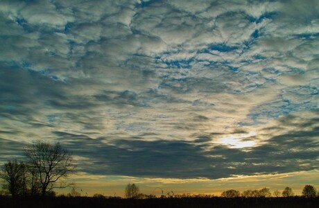 Wolkenpartij