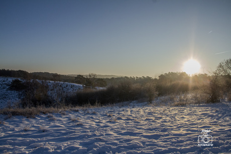 Ochtendgloren op de Brunssemerheide