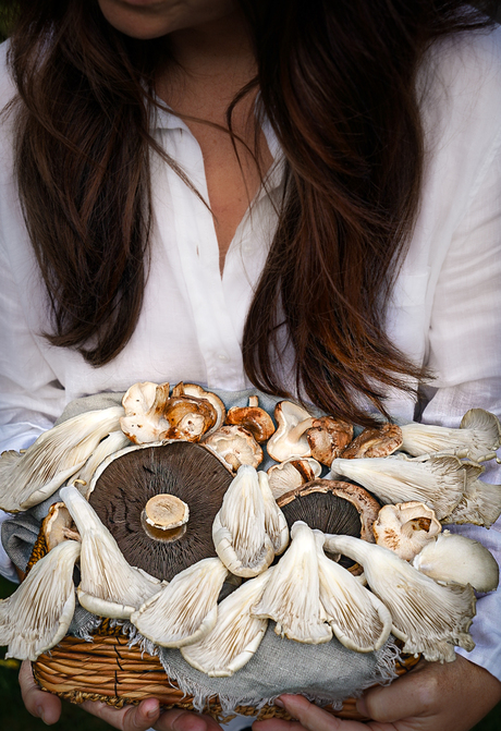 De Kunst van Herfst - Paddenstoelen 