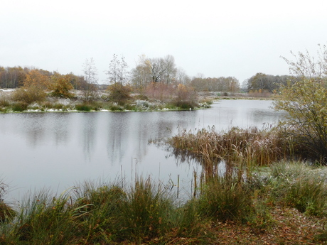 Winter in de Maurik