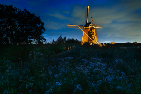 Hoge molen III
