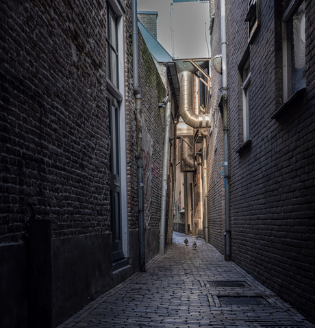 steeg  vanaf melkmarkt te Zwolle 