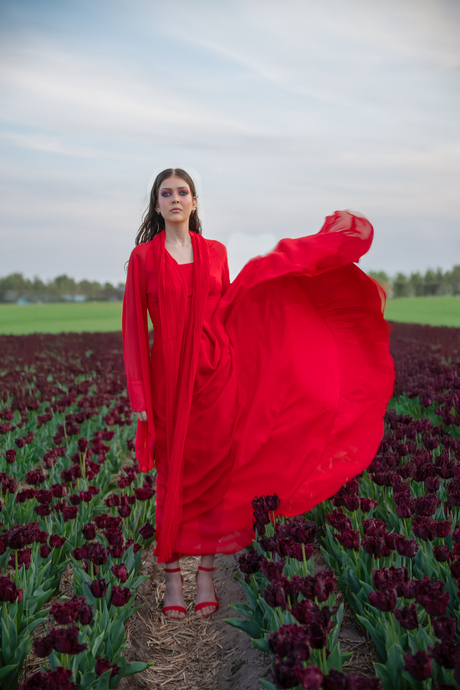 She blooms in crimson grace