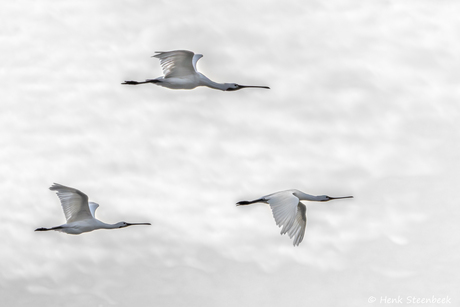 Feedback gewaardeerd