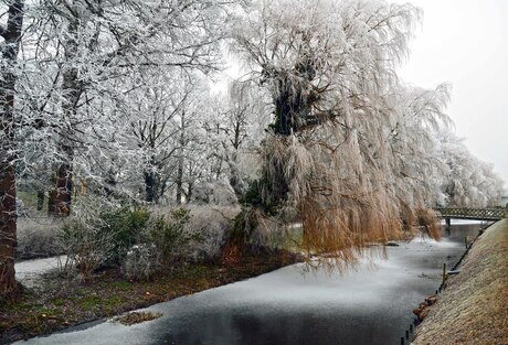 enchanted park