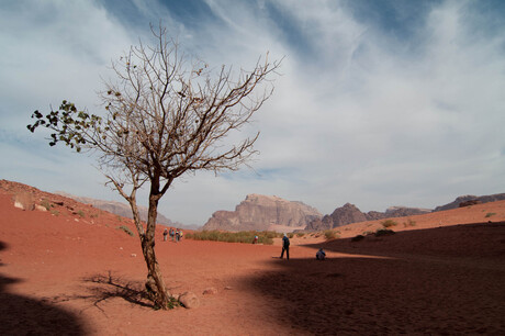 Wadi Rum-Jordanie