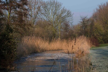 Winterse ochtend in december