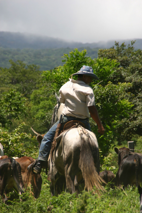 Caballero