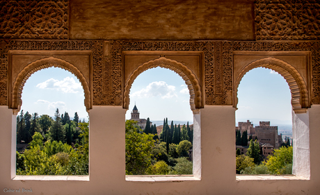 Alhambra - Granada 3