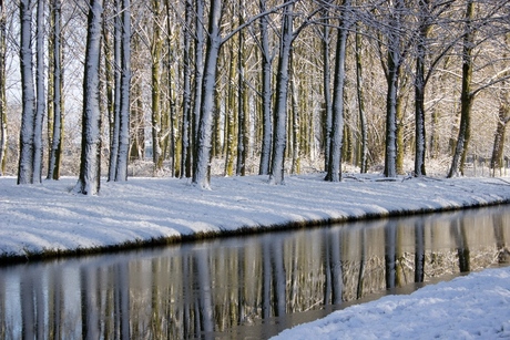 Winterse weerspiegling.jpg