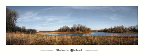 Hollandse Biesbosch