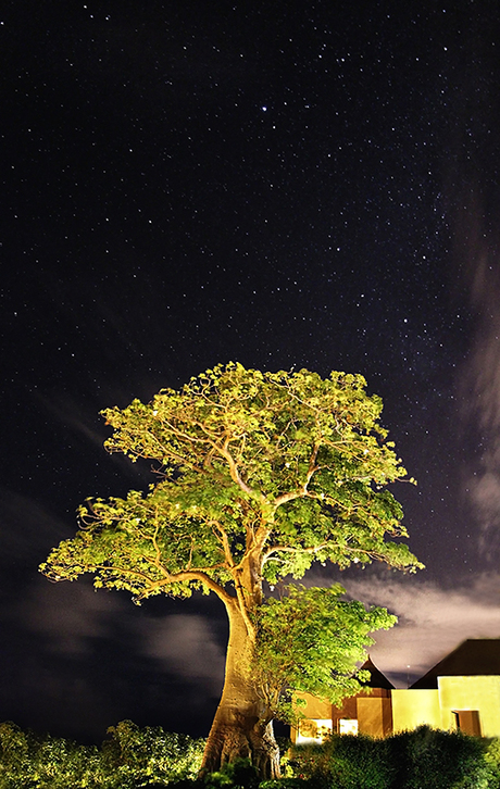 under the stars