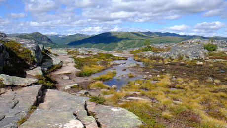 Landschap rondom Hartevassnutane