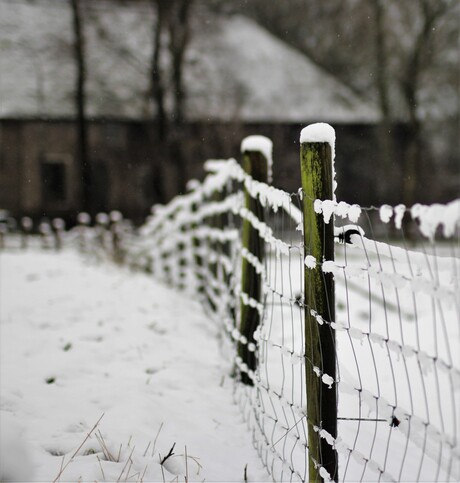 sneeuw hek