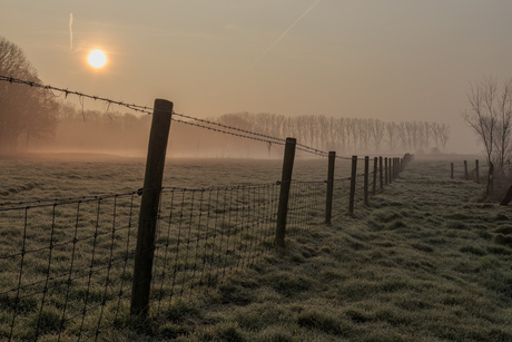 Mistige zonspgang in de Palingbeek